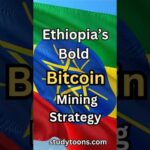 img_125822_ethiopia-39-s-bitcoin-mining-economy-cryptocurrency.jpg