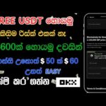 img_128369_earn-money-online-sinhala-okx-exchange-new-user-bonus-part-time-job-sinhala-ip-token-campaign.jpg