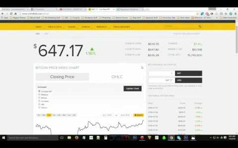 Bitcoin Cloud Mining BiteMiner Day 11