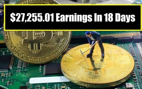 $27,255.01 Earnings In 18 Days  “Bitcoin News”