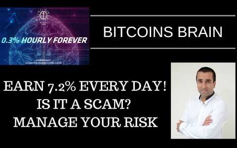 BitCoins Brain – Earn 7.2% interest every day. Is it a scam? Manage your risk.