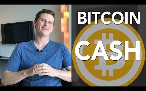 Bitcoin cash news – What I plan to do with my free bitcoin cash in the BTC vs BCH war