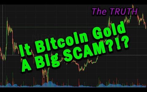 (Huge Profit Potential) Is Bitcoin Gold A Big SCAM!?