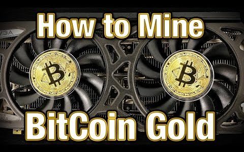 How to Mine Bitcoin Gold – Scam or Legit Altcoin?