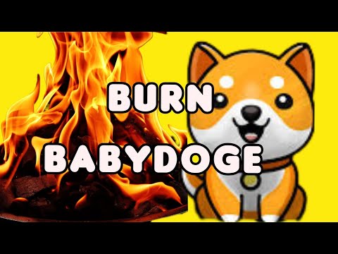 CRYPTO NEWS: BURN MASSIVE BABYDOGE | BLOKCHAIN BITCOIN ANNIVERSAIRE #14 ANS D'EXISTENCE