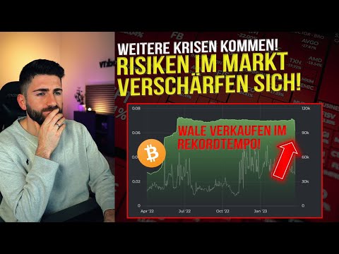 Bitcoin: BLACK-SWAN Event vor der Tür? BTC Wale reagieren JETZT! Krypto News