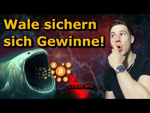 Bitcoin: Überraschende Daten / Wale VERKAUFEN im Anschluss! Binance Delisting, FTX & Krypto News