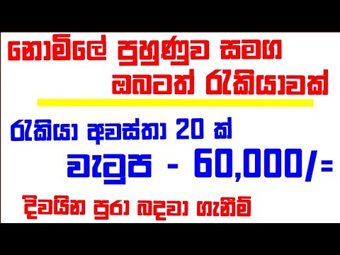 රැකියා අවස්තා රැසක් 2023 | How To Make Money In Job | Job Vacancies 2023 #job #binance #bitcoin