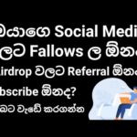 img_97319_howinu-io-micro-jobs-website-sinhala.jpg