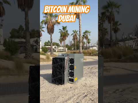 Bitcoin Mining in Dubai -Abu Dhabi - UAE ☀️☀️☀️ Antminer Beach Solarstrom im Überfluss