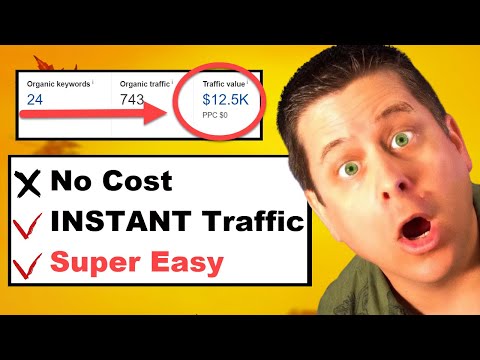 I Made $1,300 In 12 Minutes - Free Side Hustle You Can Do!