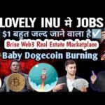 img_97719_lovely-inu-jobs-brise-real-estate-updates-crypto-news-today-crazy-crypto-family.jpg