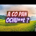 img_98497_panie-oszu-cie-czy-pan-ochu-scam-oszustwo-bitcoin.jpg