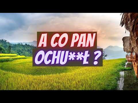 Panie Oszuście CZY PAN OCHU**Ł ? #scam #oszustwo #bitcoin