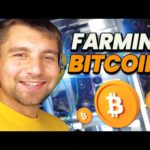 img_98663_what-it-39-s-like-running-my-own-bitcoin-mining-farm.jpg