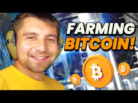 What It's Like Running My Own Bitcoin Mining Farm