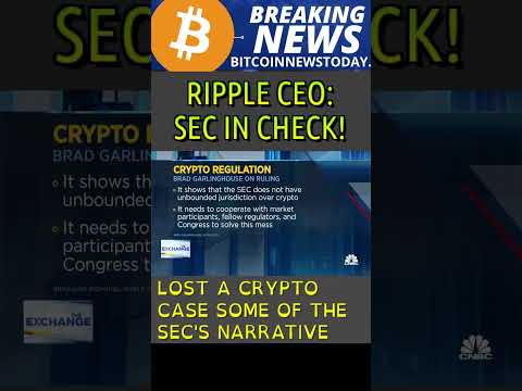 Ripple CEO: SEC In Check!  -  #ripple #xrp #sec #bitcoin #crypto #cryptocurrency #shorts