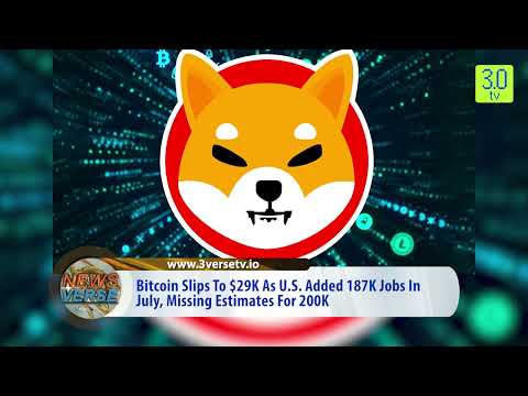 Bitcoin Slips To $29K As U.S. Added 187K Jobs In July | Morning News English 5th August P-1 | 3.0 TV